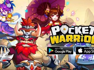 Pocket Warrior Codes
