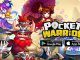 Pocket Warrior Codes