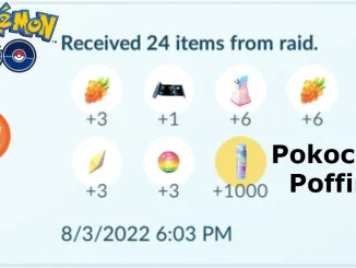 Poffin in Pokemon Go Raids