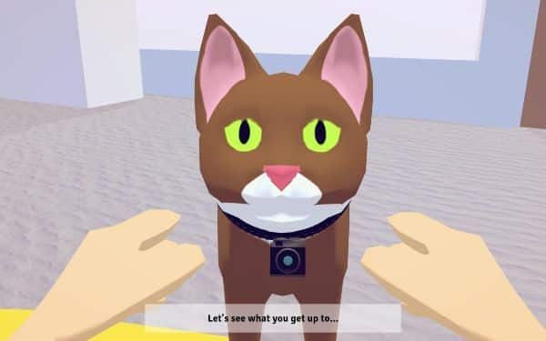 Point of Mew Treat Locations