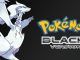 Pokemon Black Cheats ROM