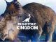 Prehistoric Kingdom Trello Link & Wiki