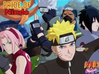 Pride Of Nindo Codes
