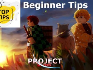 Project Slayers Beginner Tips