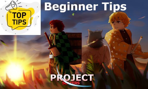 Project Slayers Beginner Tips