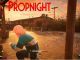 Propnight Codes