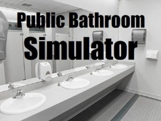 Public Bathroom Simulator Codes