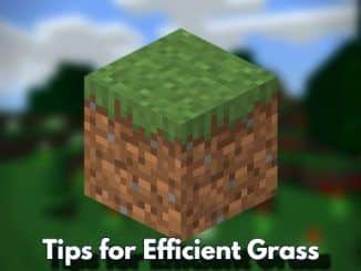 Quick Tips for Efficient Grass Growth in Minecraft