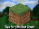 Quick Tips for Efficient Grass Growth in Minecraft