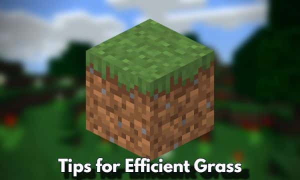 Quick Tips for Efficient Grass Growth in Minecraft
