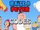 Raise a Peter Codes Roblox