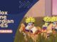 Roblox Anime Guardian Codes
