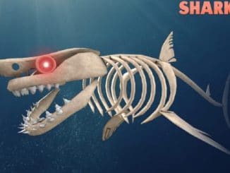 Roblox Sharkbite Script Pastebin Hacks