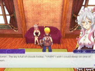 Rune Factory 5 Elsje Gifts