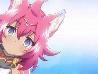 Rune Factory 5 Fuuka Gifts