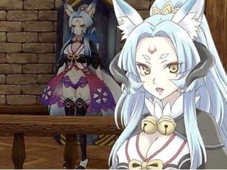 Rune Factory 5 Misasagi Gifts