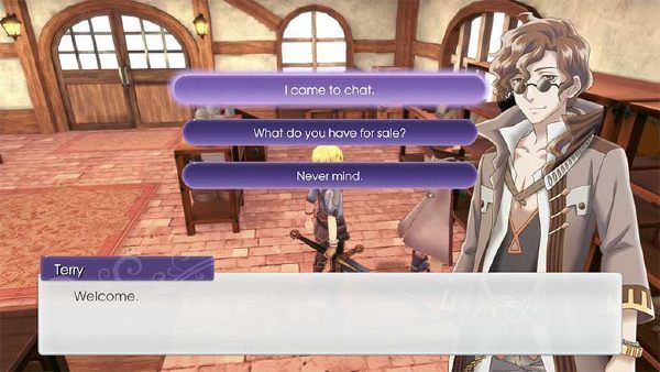 Rune Factory 5 Terry Gifts
