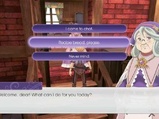 Rune Factory 5 Yuki Gifts