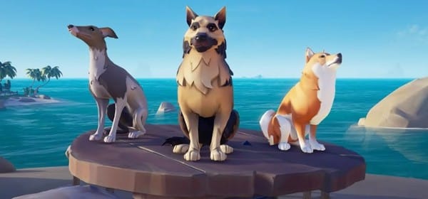 how to get pets in sea of thieves
