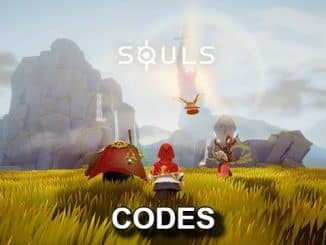 SOULS Codes
