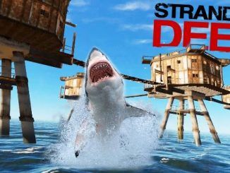 stranded deep rawhide