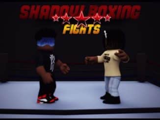 Shadow Boxing Fights Codes