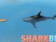 Sharkbite Weapons