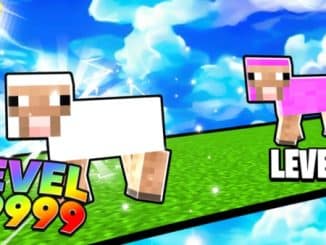 Sheep Race Simulator Codes