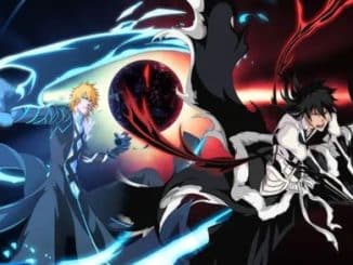 Shinigami Soul Fighters Codes