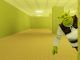 Shrek in the Backrooms Exit Code