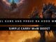 Simple Carry WoW Boost