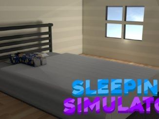 Sleeping Simulator Codes