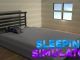 Sleeping Simulator Codes