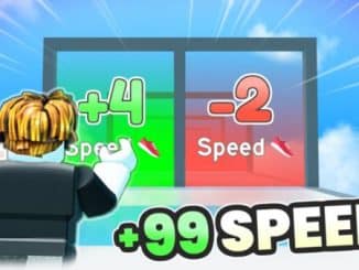 Speed Race Codes