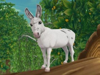 Star Stable Online Miniature Donkey Locations