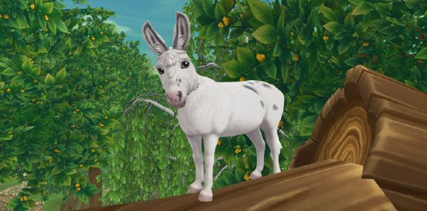 Star Stable Online Miniature Donkey Locations