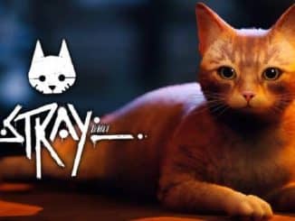 Stray Alphabet Decoded