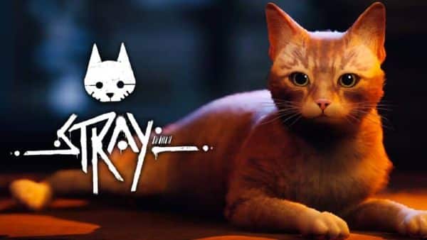 Stray Alphabet Decoded