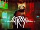 Stray Controls