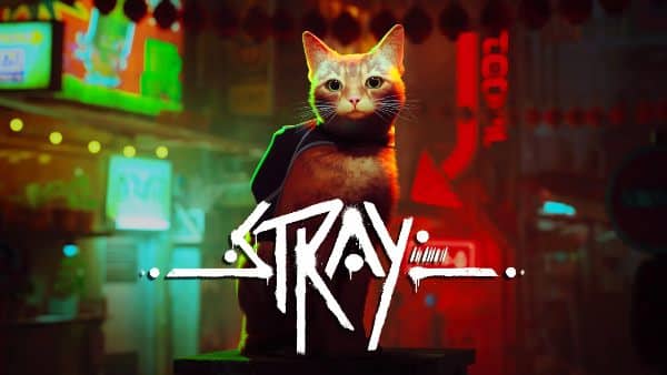Stray Controls
