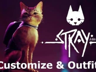 Stray kids Customize & Outfit