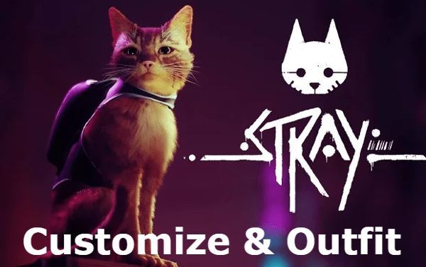 Stray kids Customize & Outfit
