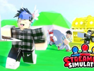 Streaming Simulator Codes