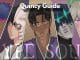 TYPE SOUL Quincy Guide Wiki Roblox
