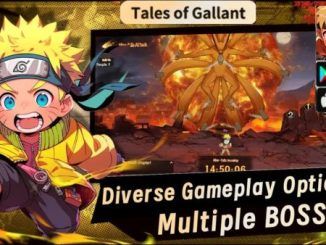 Tales of Gallant Codes