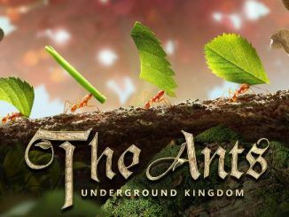 The Ants Underground Kingdom Codes