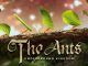 The Ants Underground Kingdom Codes
