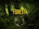 The Forest Cheats console commands