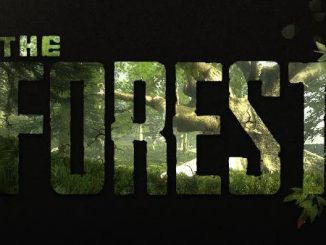 The Forest Crafting Recipes