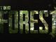 The Forest Crafting Recipes